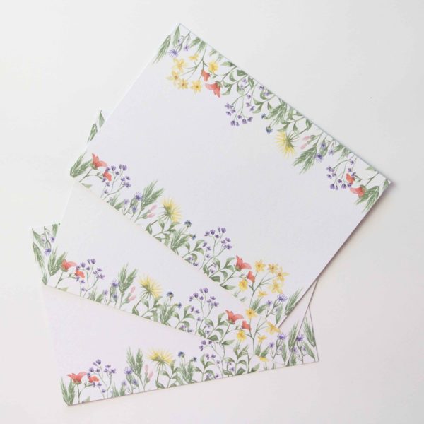 Postkarten Wiesenblumen