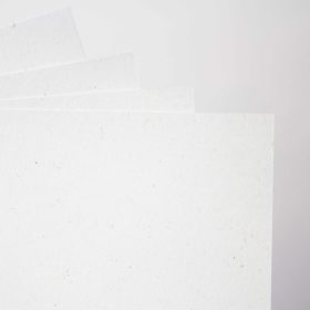 Feinpapier-Flora-Creme