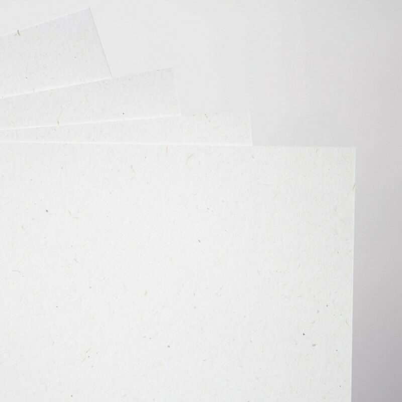 Feinpapier-Flora-Creme