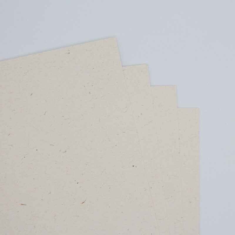 Feinpapier-Flora-Creme