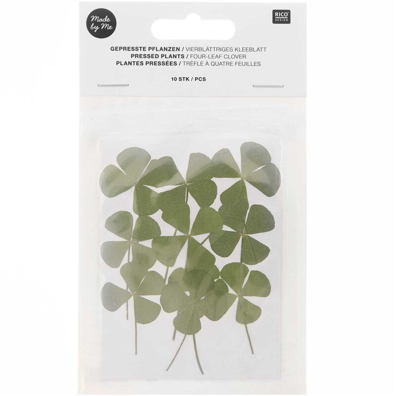 Neu | Unsere kleine Bastelstube- DIY Bastelideen für Feste & Anlässe Gepresste Pflanzen Vierblättriges Kleeblatt – 10 Stück für Bastelideen